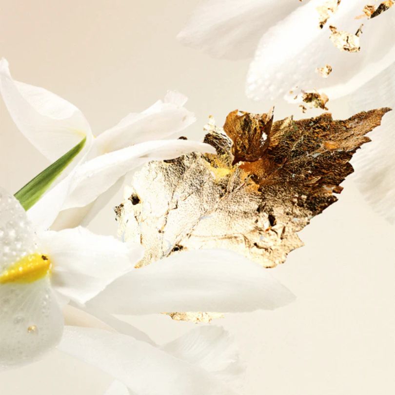 BVLGARI Splendida Bvlgari Patchouli Tentation, Eau de Parfum, 100ml
