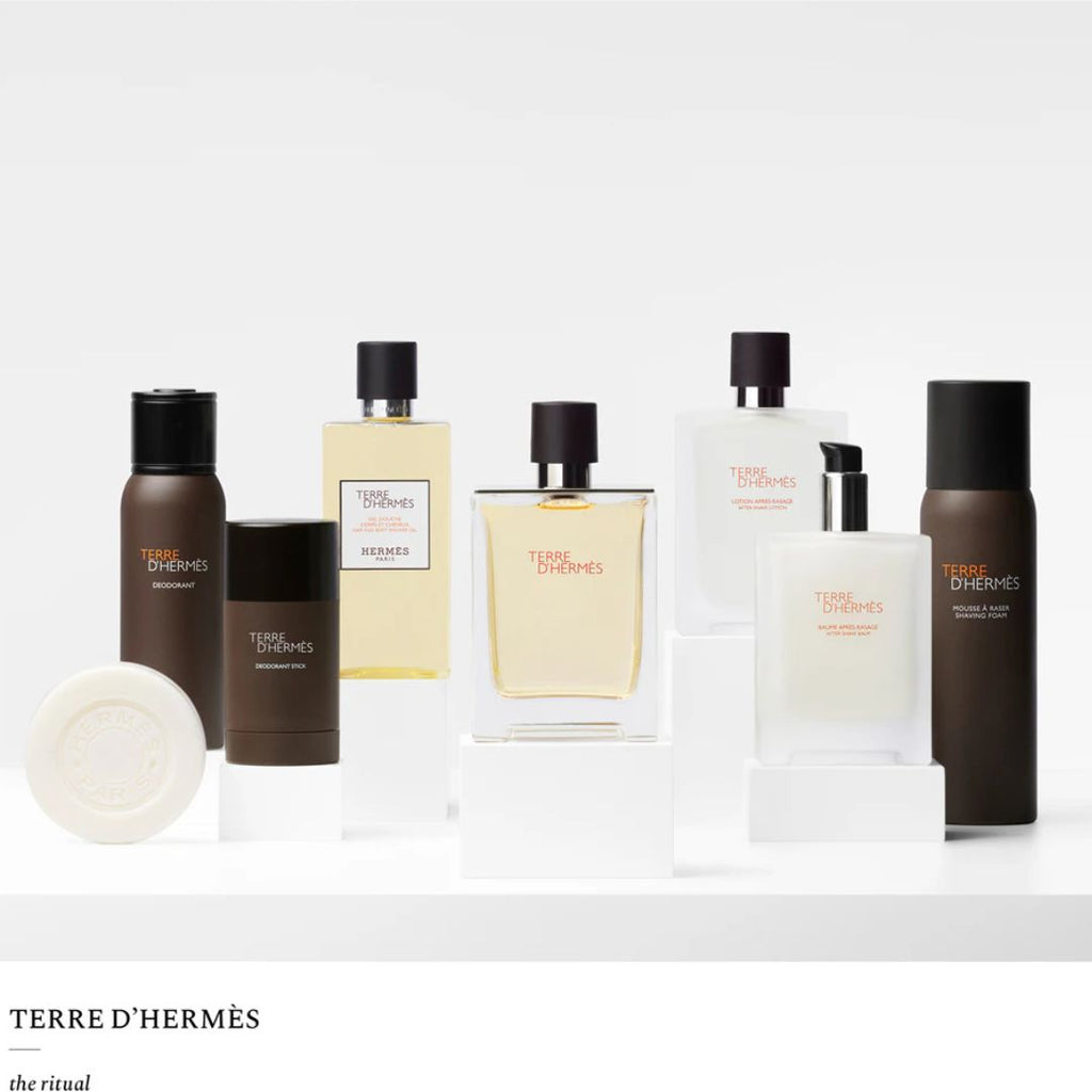Hermès Terre d’Hermès, Eau de Toilette, 100 ml