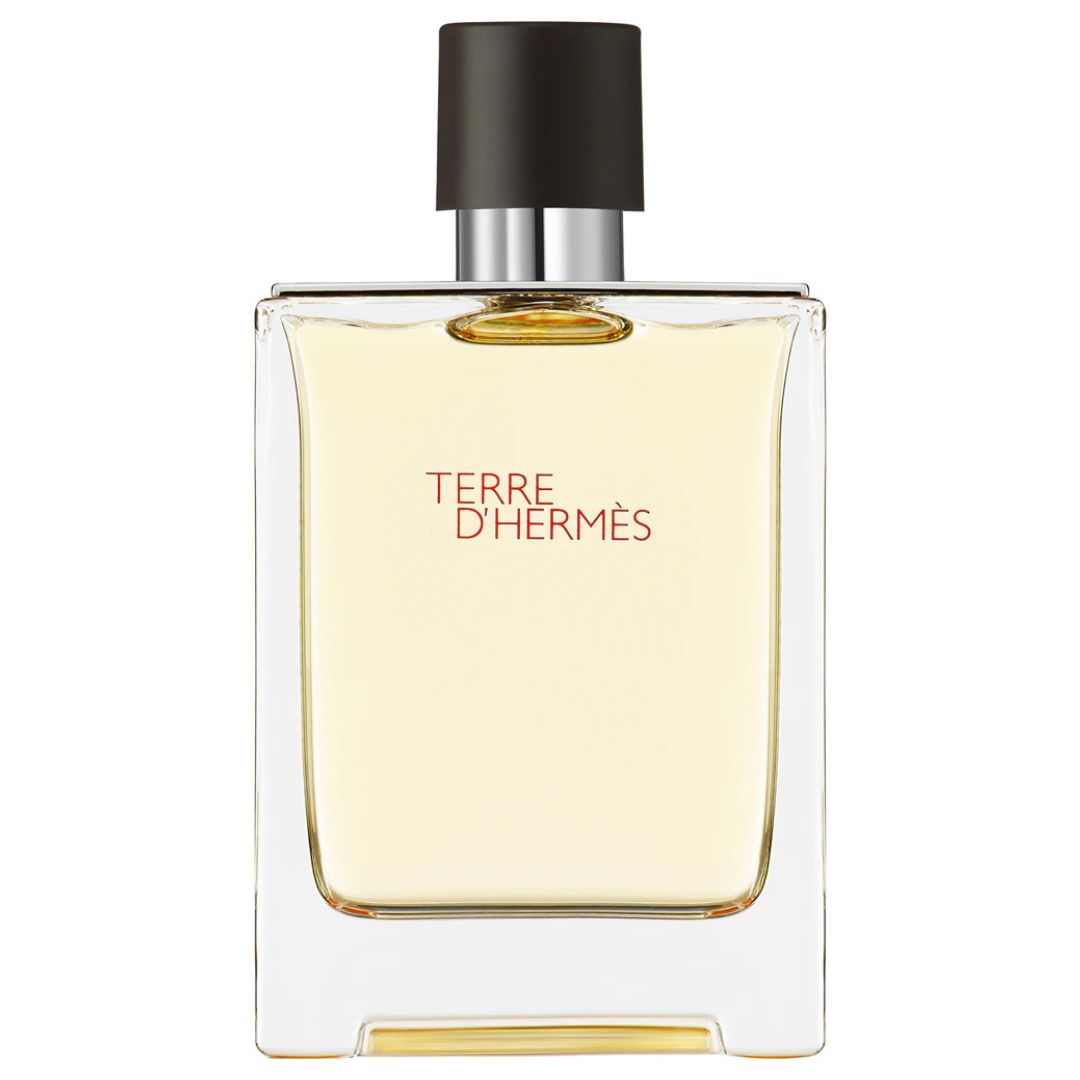 Hermès Terre d’Hermès, Eau de Toilette, 100 ml